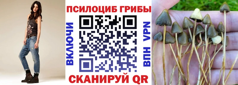 Псилоцибиновые грибы мицелий  Ярцево 