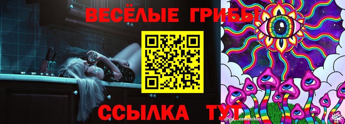 Псилоцибиновые грибы MAGIC MUSHROOMS  Вход с VPN  продажа наркотиков  Ярцево  Псилоцибиновые грибы Magic Shrooms 